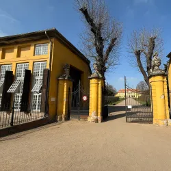 Mosigkau Palace and Park - Dessau