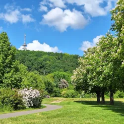 Park an der Freiberger Mulde - Doebeln (Döbeln)