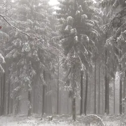 Weil River - Dorfweil