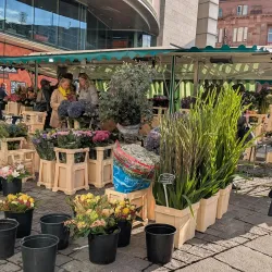 Alter Markt (Old Market Square) - Dortmund