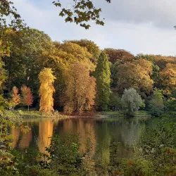 Botanischer Garten Rombergpark - Dortmund