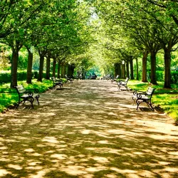Botanischer Garten Rombergpark - Dortmund
