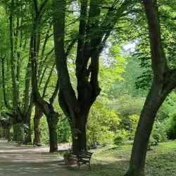 Botanischer Garten Rombergpark - Dortmund