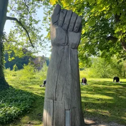 Botanischer Garten Rombergpark - Dortmund