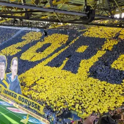 Signal Iduna Park (Westfalenstadion) - Dortmund