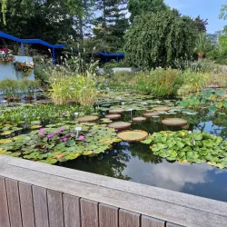 Westfalenpark - Dortmund