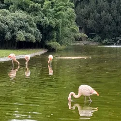 Westfalenpark - Dortmund