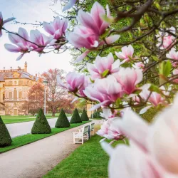 Großer Garten (Great Garden) - Dresden