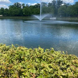 Großer Garten (Great Garden) - Dresden