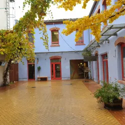 Kunsthofpassage - Dresden