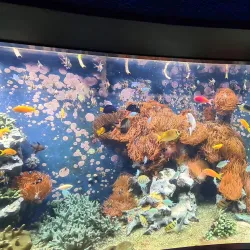 Aquazoo Löbbecke Museum - Dusseldorf