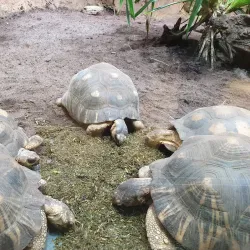 Aquazoo Löbbecke Museum - Dusseldorf