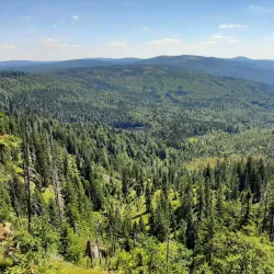Bavarian Forest Nature Park (near Erding) - Erding