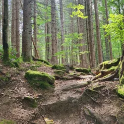 Bavarian Forest Nature Park (near Erding) - Erding