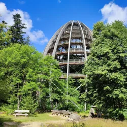 Bavarian Forest Nature Park (near Erding) - Erding