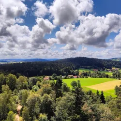 Bavarian Forest Nature Park (near Erding) - Erding