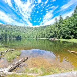 Bavarian Forest Nature Park (near Erding) - Erding