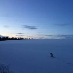 Erding Golf Club - Erding