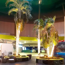 Therme Erding - Erding