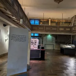 Old Synagogue (Alte Synagoge) - Erfurt