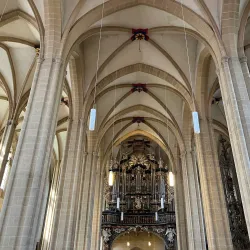 Severikirche (St. Severus Church) - Erfurt