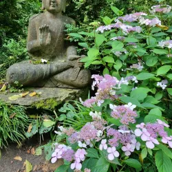 Botanischer Garten Erlangen - Erlangen