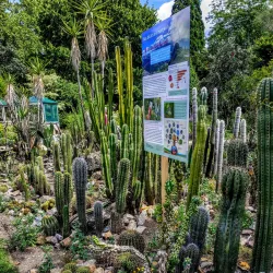 Botanischer Garten Erlangen - Erlangen