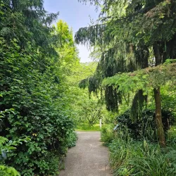 Botanischer Garten Erlangen - Erlangen
