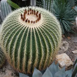 Botanischer Garten Erlangen - Erlangen