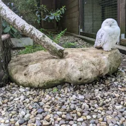 Grugapark Essen - Essen