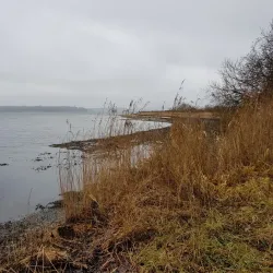 Flensburg Fjord - Flensburg