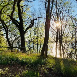 Flensburg Fjord - Flensburg
