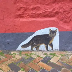 Nordertor - Flensburg