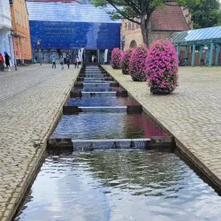 Phänomenta Science Center - Flensburg