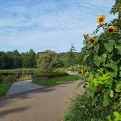Botanischer Garten der Europa-Universität Viadrina - Frankfurt (Oder)