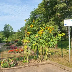 Botanischer Garten der Europa-Universität Viadrina - Frankfurt (Oder)