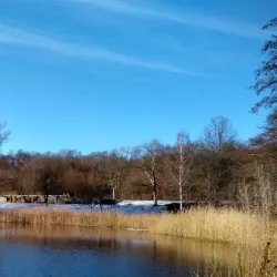 Botanischer Garten der Europa-Universität Viadrina - Frankfurt (Oder)