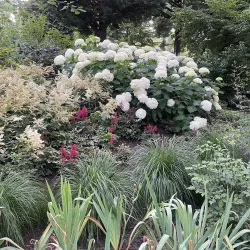 Botanischer Garten der Europa-Universität Viadrina - Frankfurt (Oder)