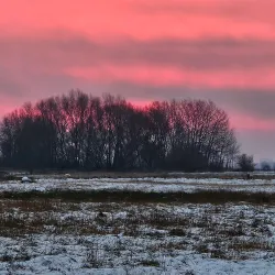 Oder-Neiße Cycle Route - Frankfurt (Oder)