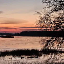 Oder-Neiße Cycle Route - Frankfurt (Oder)