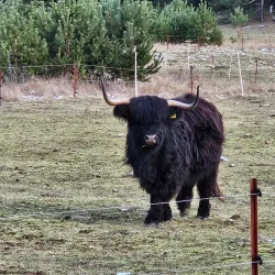 Oder-Neiße Cycle Route - Frankfurt (Oder)