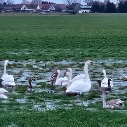 Oder-Neiße Cycle Route - Frankfurt (Oder)