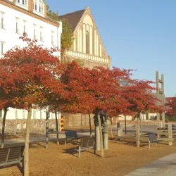 Oder Promenade - Frankfurt (Oder)