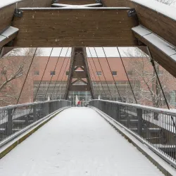 Viadrina European University - Frankfurt (Oder)