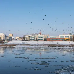 Viadrina European University - Frankfurt (Oder)