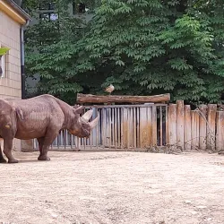 Frankfurt Zoo - Frankfurt