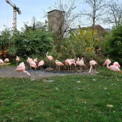 Frankfurt Zoo - Frankfurt