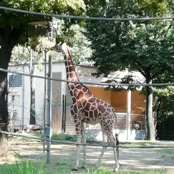 Frankfurt Zoo - Frankfurt
