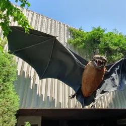 Frankfurt Zoo - Frankfurt