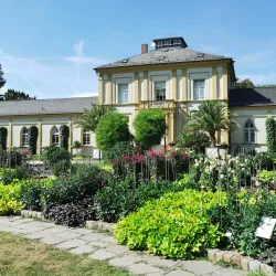 Palmengarten - Frankfurt